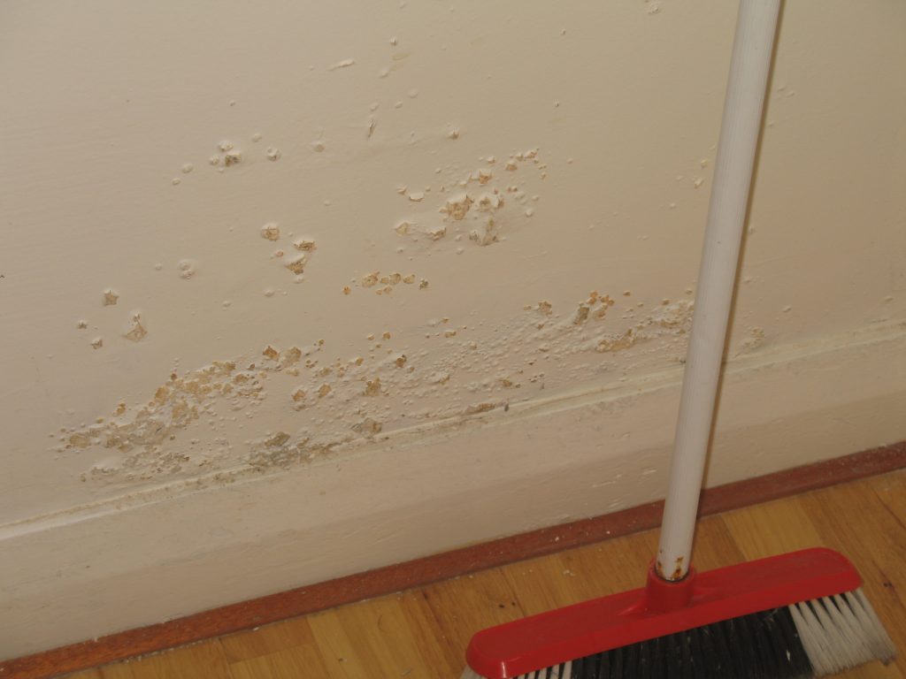 Rising Damp Issues Kildare